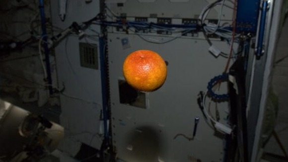 Hadfield posted this photo with the caption "Beautiful blood orange, freshly-delivered from California. It was delicious - thanks"