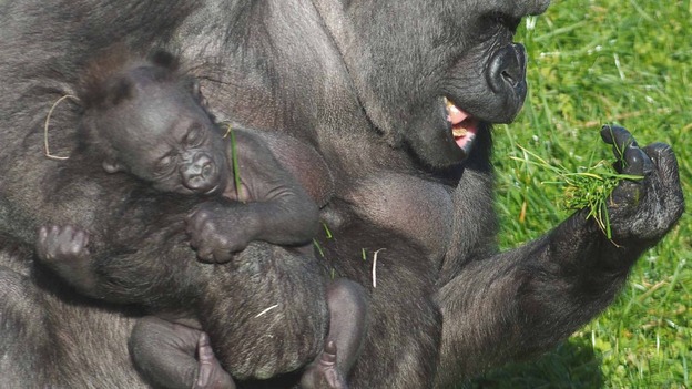 Ozala and her three month old boy