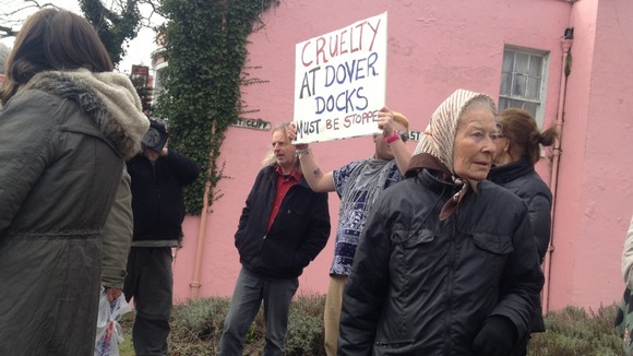 Live animal exports protesters