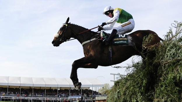 Today's Grand National is believed to be worth £975,000.