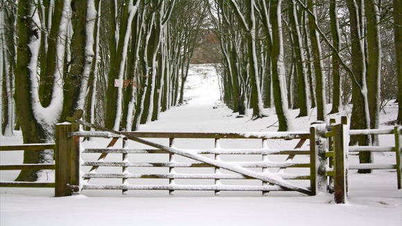 snowy in Staffordshire