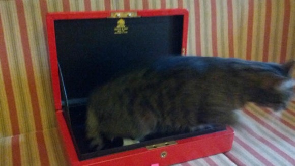 The Chancellor tweeted this picture of his Budget Box today.
