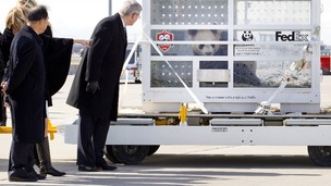 Canadian Prime Minister Stephen Harper (R) welcomes the new arrivals at Pearson International airport in Toronto