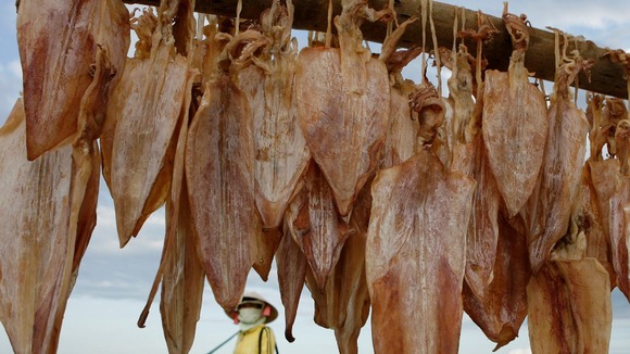 Dried squid