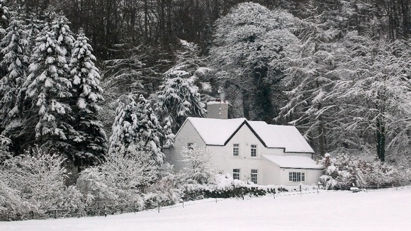 Snow in Mold