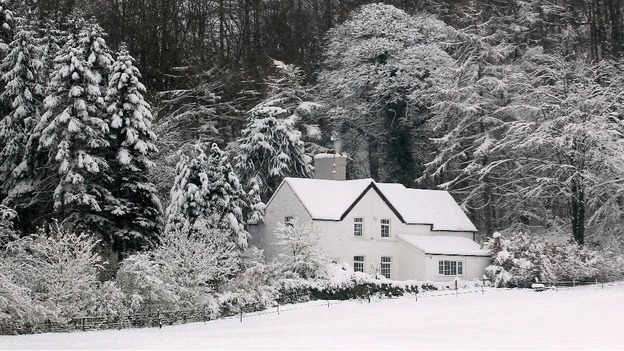Snow in Mold