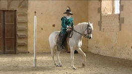 Dressage display at Bolsover Castle