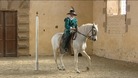 Dressage display at Bolsover Castle