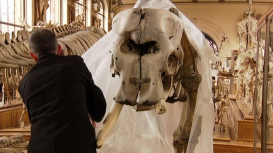 Staff were alerted when they heard the noise of a chainsaw in one of their galleries