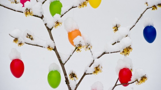 Easter temperatures have dipped to record cold levels. 