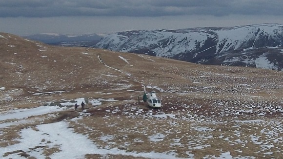 Helicopter