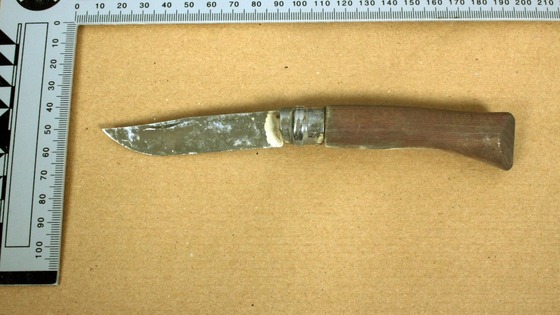 Brown handled knife found in a Fiat Punto when Kevin Liverpool and Junior Bradshaw were arrested
