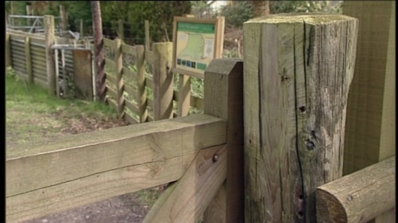 dartmoor gate