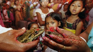 Children watch a frog marriage ceremony, performed to appease the Gods, on the outskirts of Guwahati in northern India