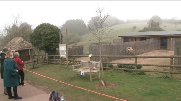 Zoo