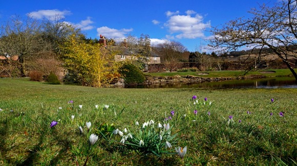 Felley Priory, Nottinghamshire in the sunshine.