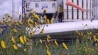 Cuadrilla's fracking site near Blackpool