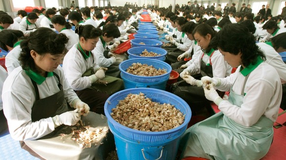 North Koreans work at a garlic processing factory owned by a South Korean company inside Kaesong, North Korea.