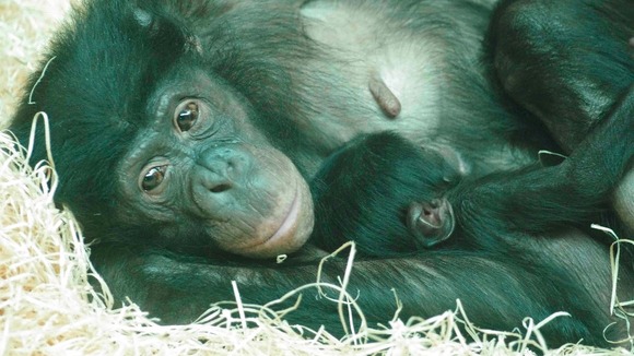 Banya gave birth to the baby boy in Februrary