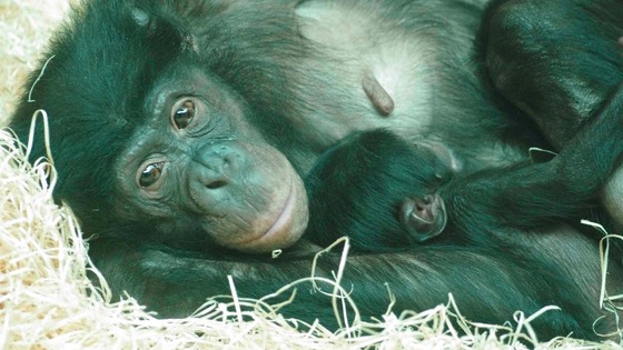 Banya gave birth to the baby boy in Februrary