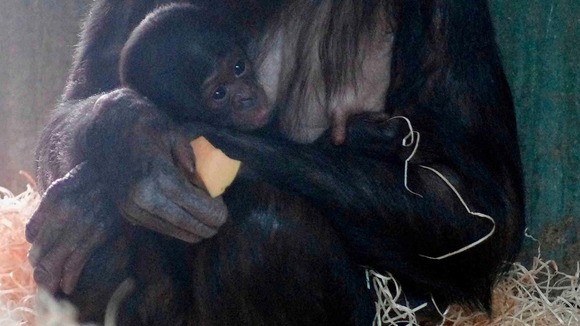 Banya had been pregnant with the baby boy for eight and a half months
