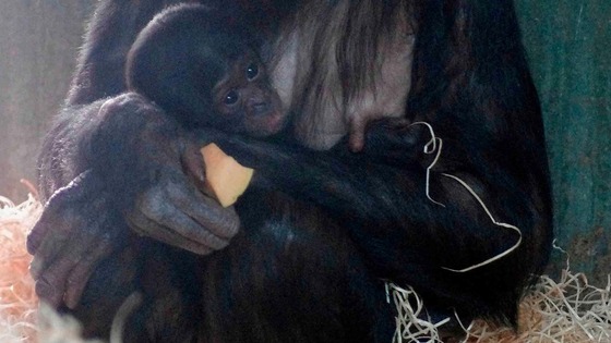 Banya had been pregnant with the baby boy for eight and a half months