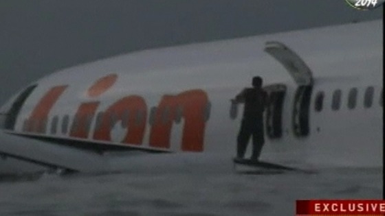 Standing on the wing.