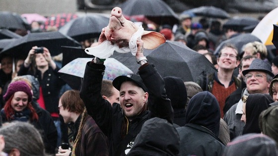 A man holds a pig's head aloft.