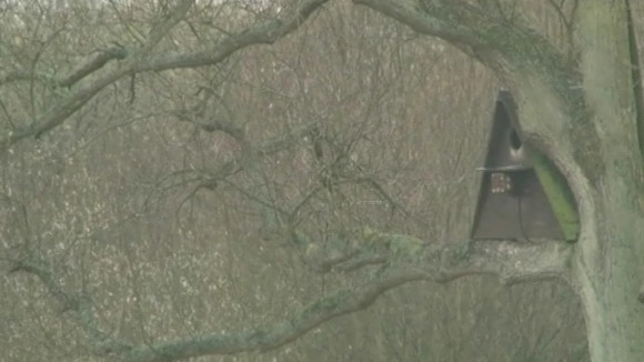 Nest box