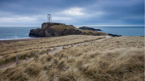 Windswept Llanddwyn