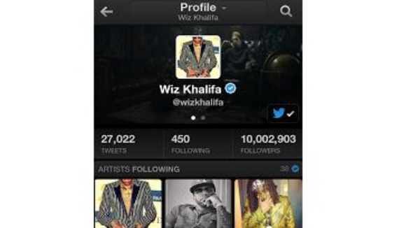 A Twitter user's profile on the app.