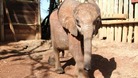 Tundani was seen by a pilot on a routine aerial surveillance flight