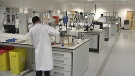 Top businesses warn a shortage in skills could threaten an economic recovery.