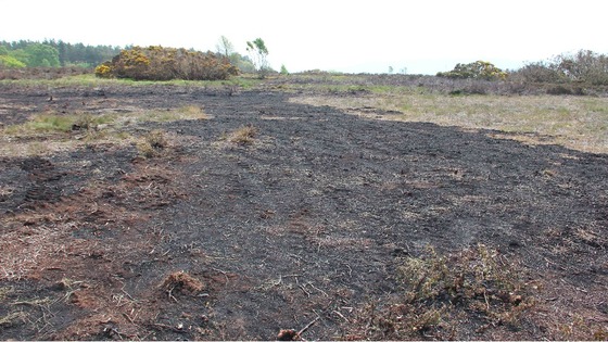 Arson incidents in Cleveland cost the taxpayer more than £500,000.