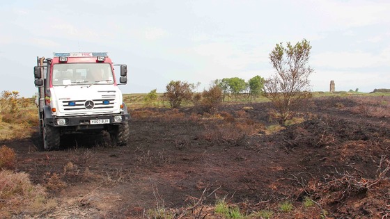 The large majority of arson incidents in Cleveland were grass fires.