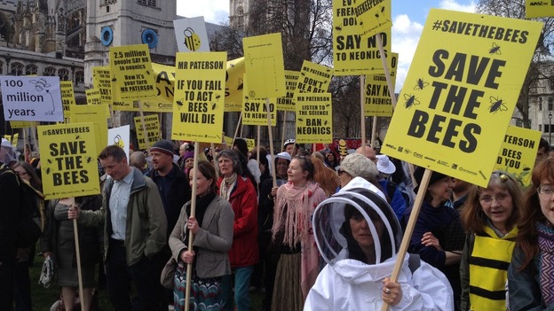 The March of the Beekeepers through Parliament Square