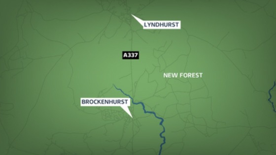 New Forest