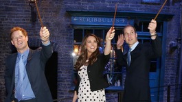 A wave with a difference as royals given Potter wands