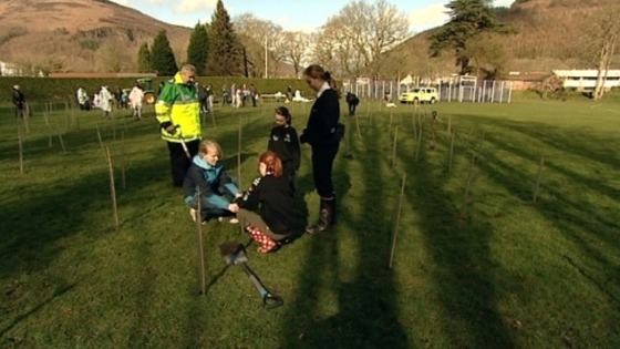 Tree planting