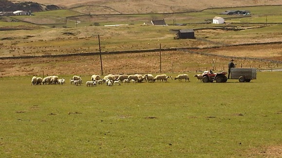 Farm