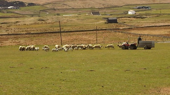 Farm