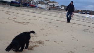 Dog Walker