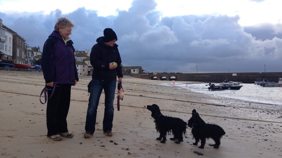 Dog walkers