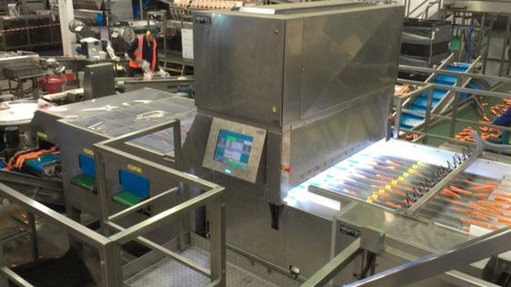 The new carrot grader