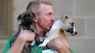 An RSPCA behavioural trainer cuddles two rescued dogs