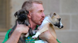 An RSPCA behavioural trainer cuddles two rescued dogs