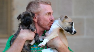An RSPCA behavioural trainer cuddles two rescued dogs