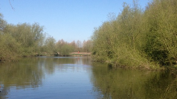 Body found in Priory Marina in Bedford