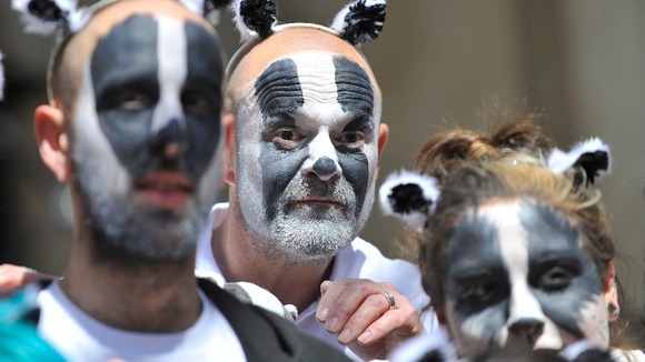 DEFRA badger flash mob protest against cull