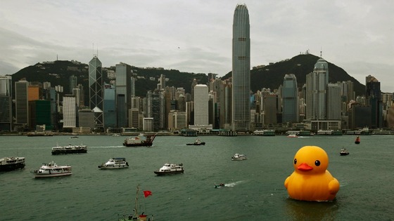 The rubber duck is the creation of Dutch conceptual artist, Florentijn Hofman.